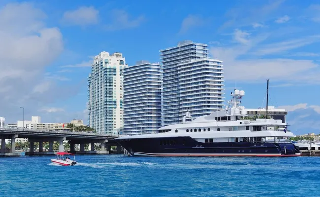 Travel To America Good Luck Taking A Cruise - Sakshi