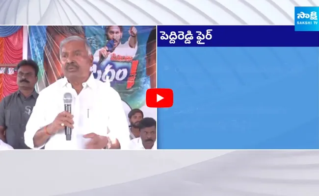 Peddireddy Ramachandra Reddy Comments On Kiran Kumar Reddy