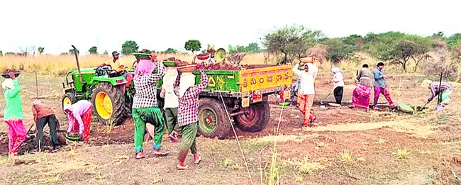 నేలకు సారం.. పంటకు ప్రాణం