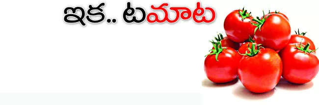 టమాట 