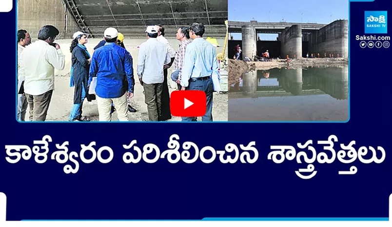 Scientists Visit Kaleshwaram Medigadda Project