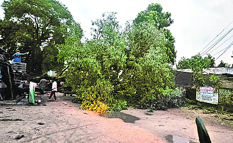 Heavy rain in joint Adilabad and Nizamabad districts