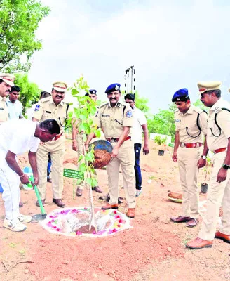 వృత్తి జీవితంలో నిబద్ధతతో పనిచేయాలి 