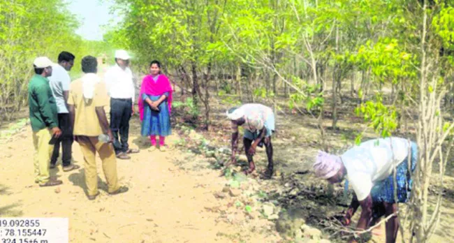 ● డీపీవో శ్రీనివాస్‌