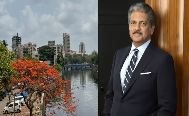 Anand Mahindra Tweet About Dahisar River