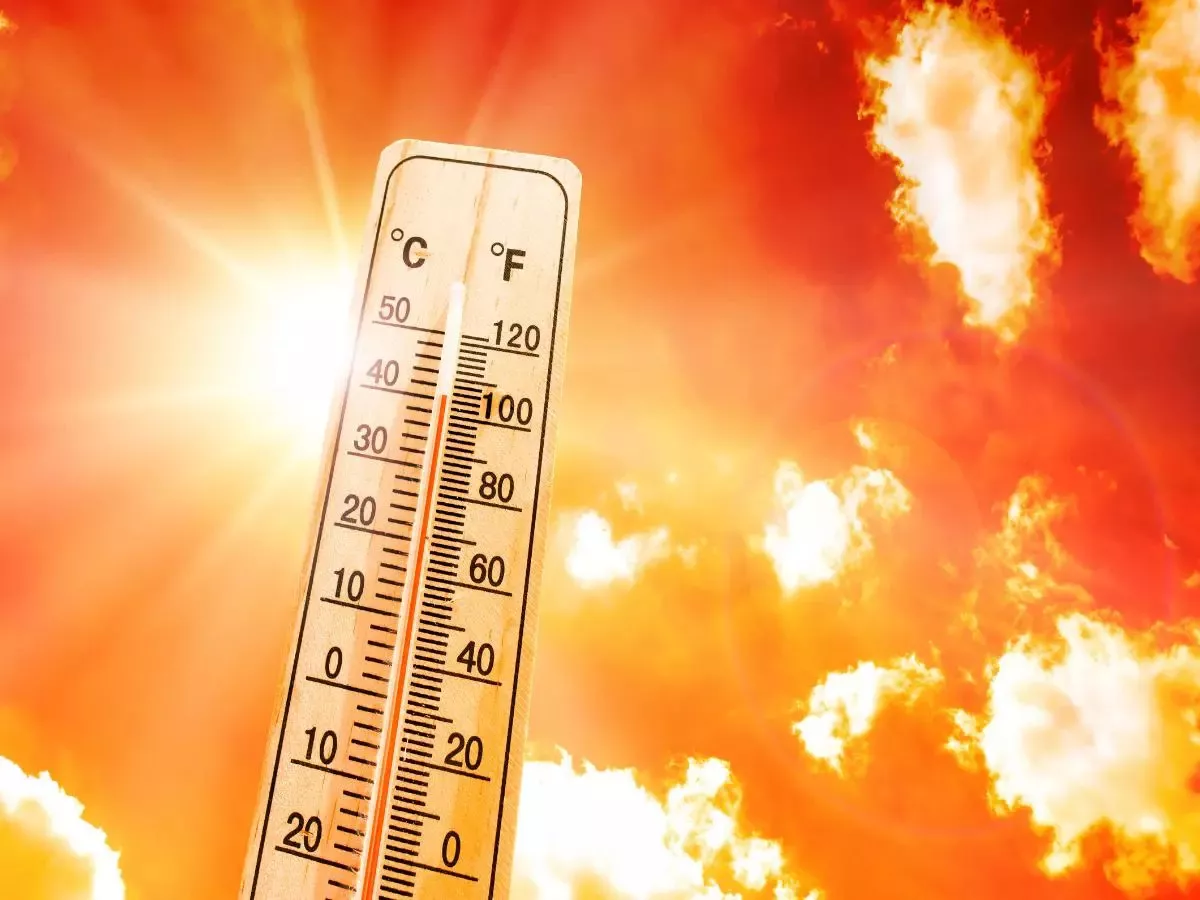 India Meteorological Department: Mercury touches 50 degrees Celsius in Phalodi