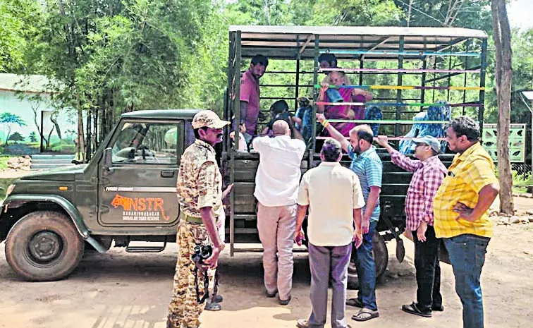 Safari Tour in Nallamala Forest