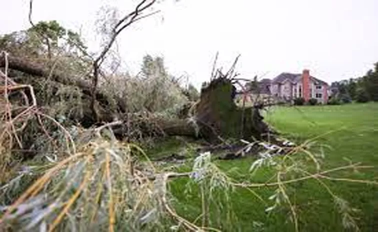 Tornadoes and storms leave 28 dead across 16 states