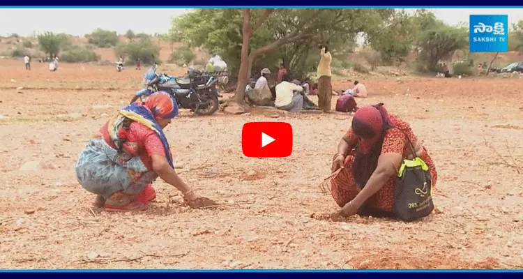 People Search For Diamonds In AP