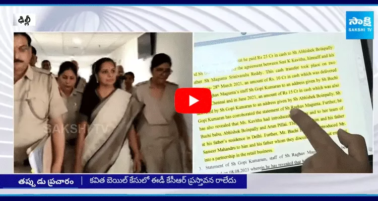 Kavitha Delhi Liquor Case Update