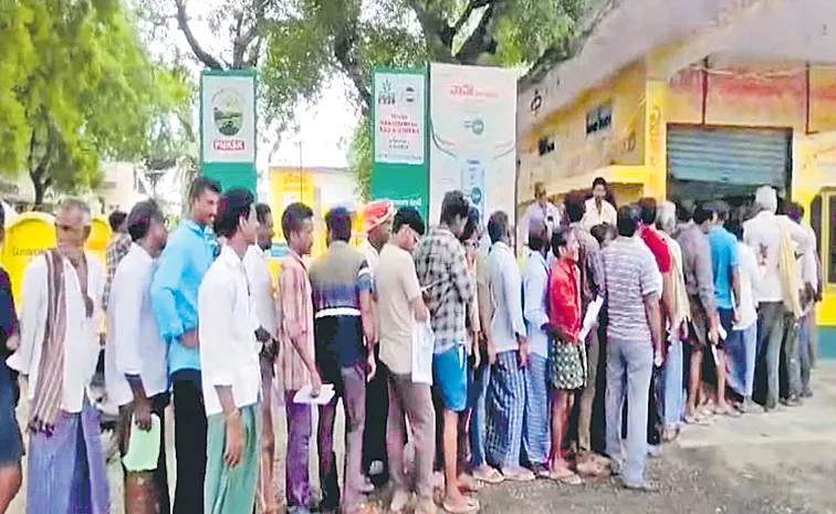 Farmers queue for cotton seeds