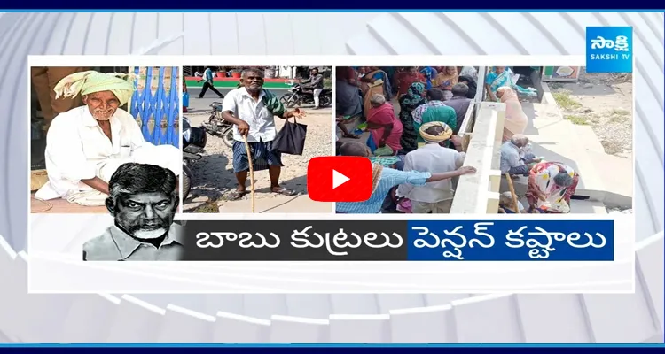  AP Pensioners Slams Chandrababu