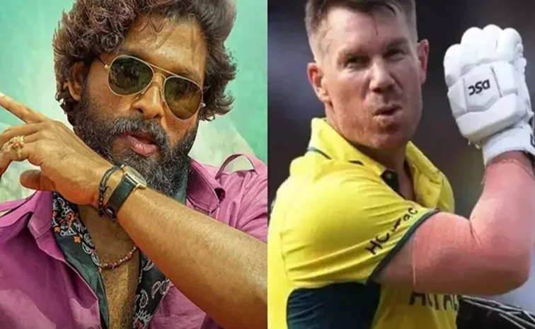 Allu Arjun Reply To Australia Star Cricketer David Warner