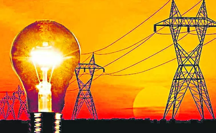 Electricity Regulatory Board decides the rate for purchase of electricity every year