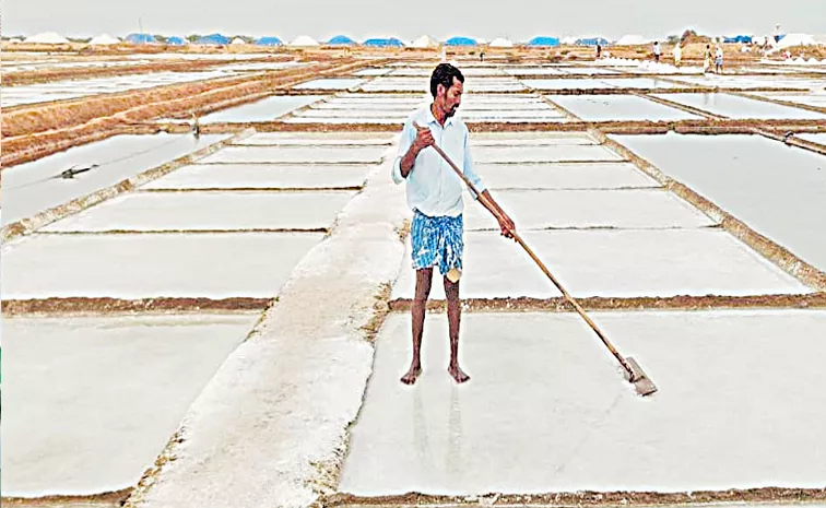 Good news to salt farmers