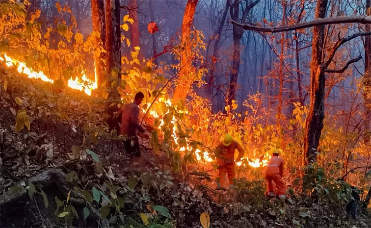 Uttarakhand Forest Fire More Than one Thousand Hectare Burnt