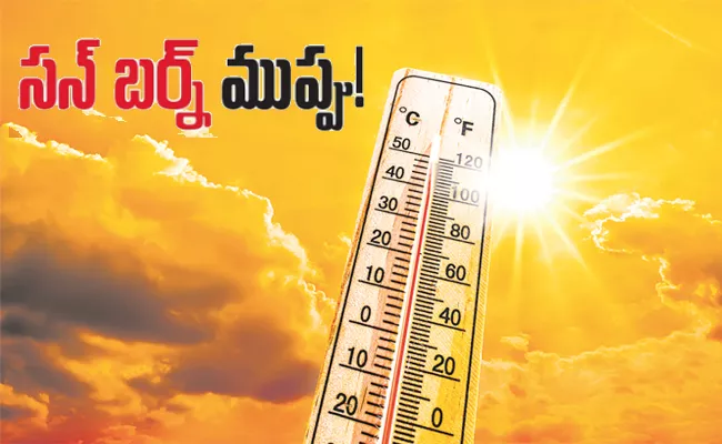 సాగుబడి: పండ్లతోట రక్షణకై..