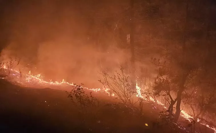 Uttarakhand 30 Villages Lost Their Sleep Due to Forest Fire