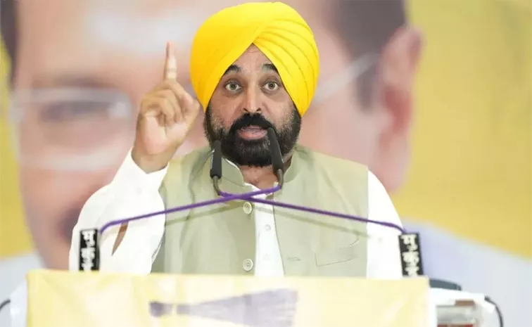 Punjab CM Bhagwant Mann Will Campaign in Delhi