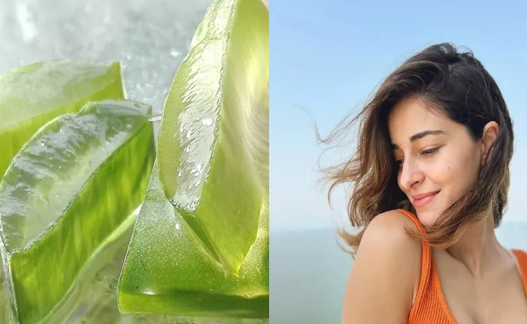 Healthy Benefits of Drinking Aloe Vera Juice