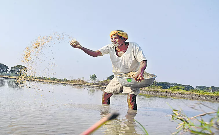 Sakshi Guest Column On Farmers Seeds System