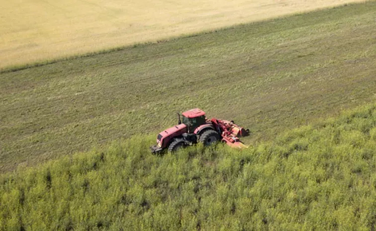  Act Of Barbarity Indian Worker Left To Die After Farm Accident In Italy