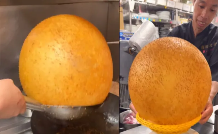 Viral Video: Japans Giant Sesame Ball Calls It Cosmic Bhatura 