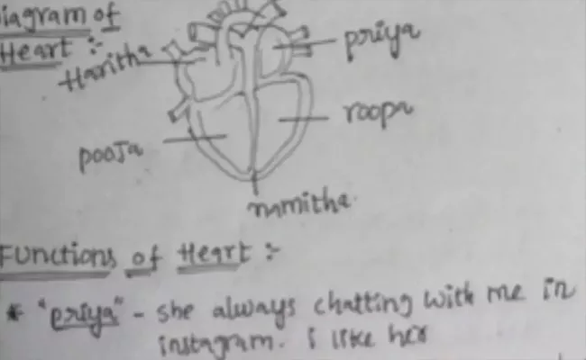 Student Heart Diagram Linked to Crush Leaves Netizens in Stitches