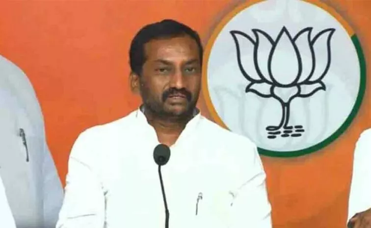 BJP MP Raghunandan Rao Key Comments Over KCR