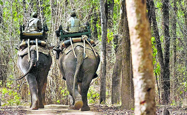 Forest personnel going to Karnataka for training