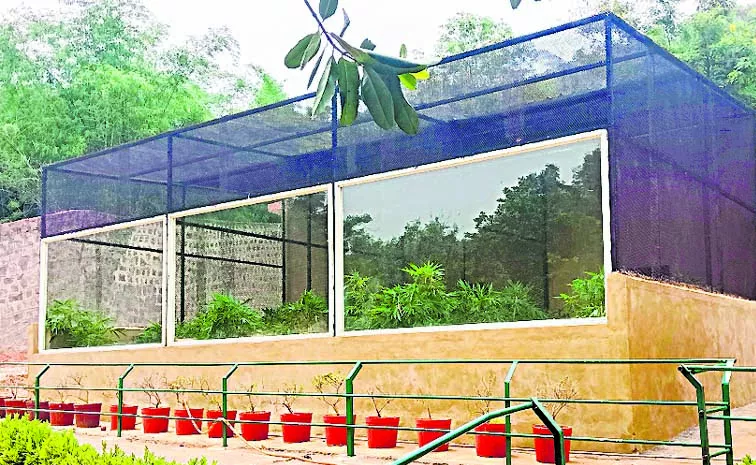 Wildlife of Gujarat at Visakhapatnam Zoo