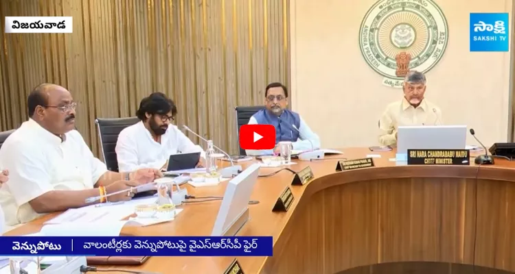 CM Chandrababu On Volunteer System