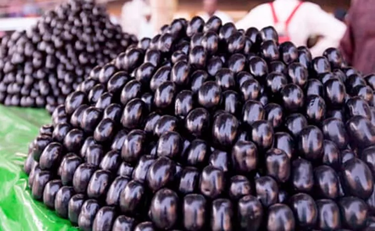 Health benefits of Jamun fruit