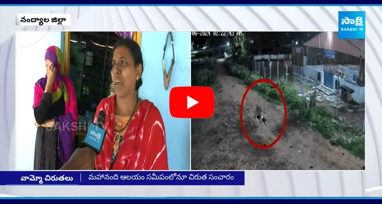 Leopard Tension In Nandyal District 