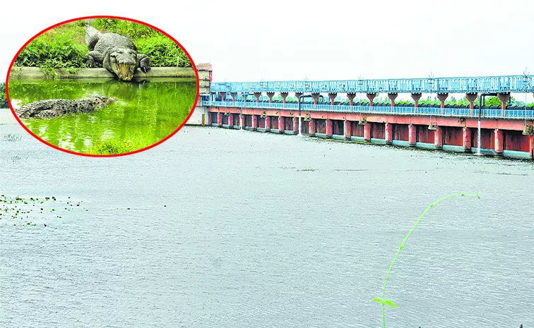 Manjira Sanctuary on UNESCO route