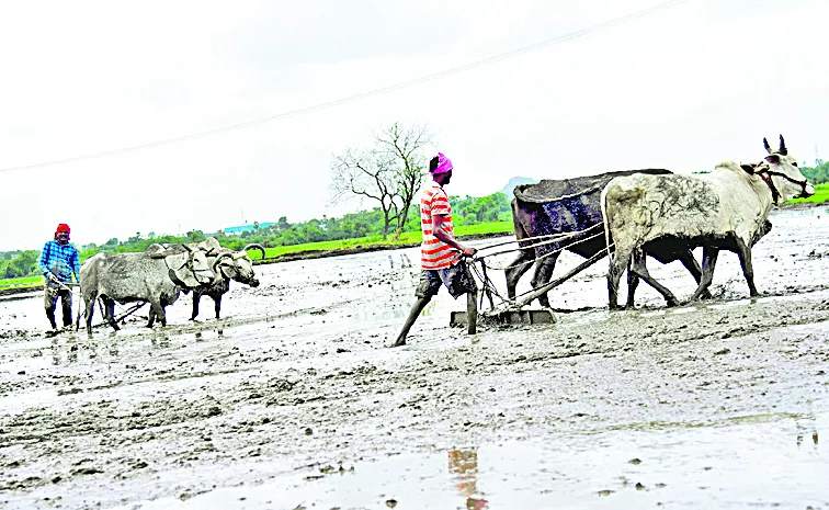 Assurance for tenant farmers