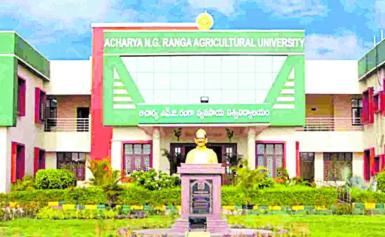 Political transfers in NG Ranga University