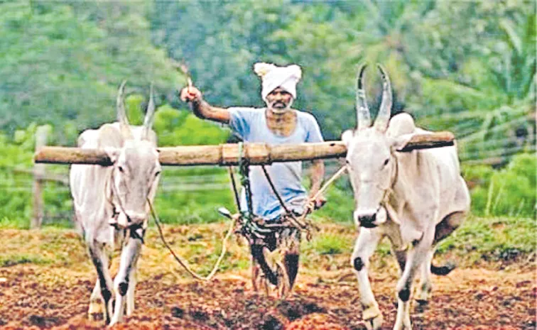 YS Jagan govt provided investment assistance to Farmers on time for five years