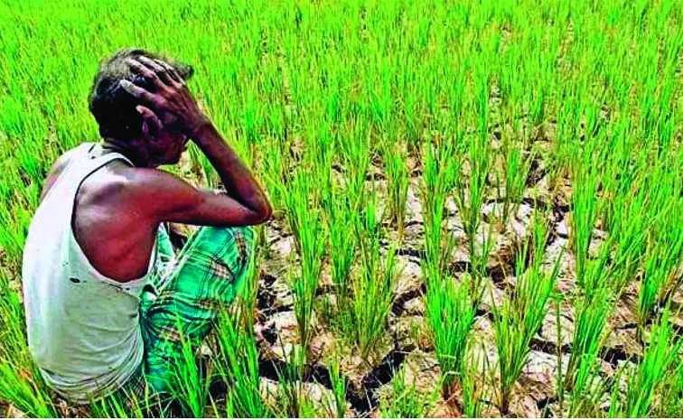 Farmers Concern in Andhra pradesh