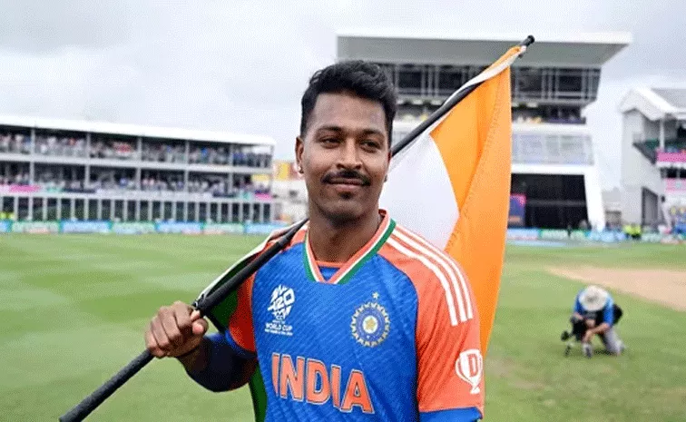 Hardik Pandya, Indias 2024 T20 World Cup hero,