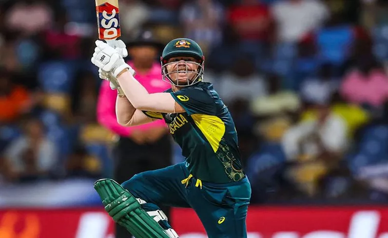 T20 World Cup 2024: David Warner Surpassed Chris Gayle In Most T20 50 Plus Scores In T20 Cricket