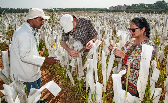 indian Agri facing high costs low productivity and climate change issues