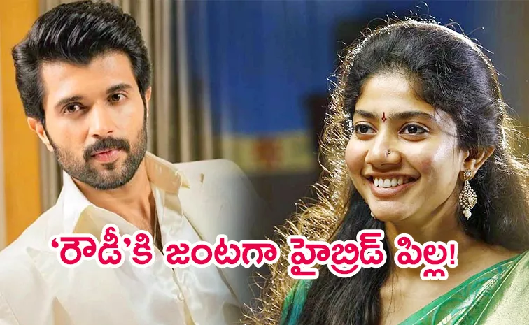 Sai Pallavi To Play Key Role In Vijay Devarakonda's New Film