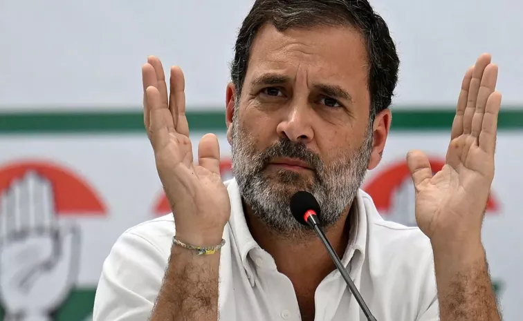 Rahul Gandhi must decide within 2 weeks about Wayanad or Rae Bareli