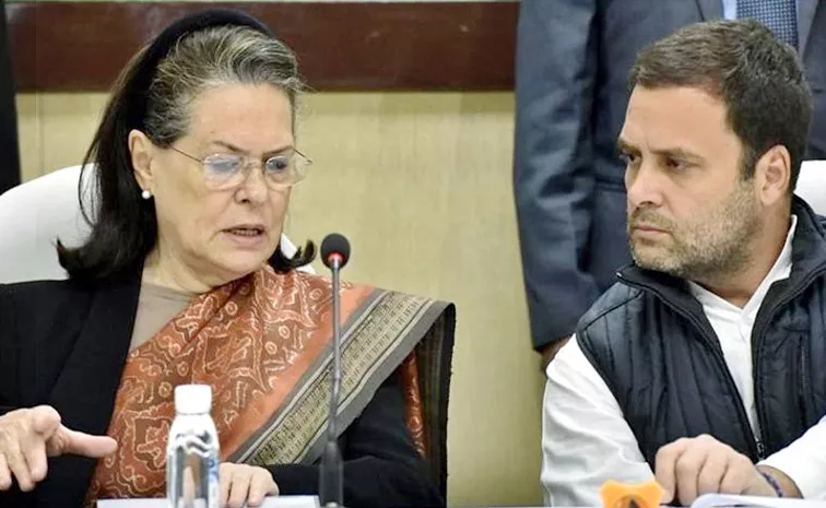 Sonia Gandhi appointed Congress Parliamentary Party chairperson