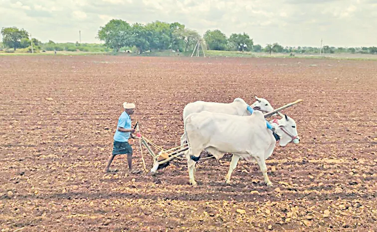 Farmers are preparing land for cultivation