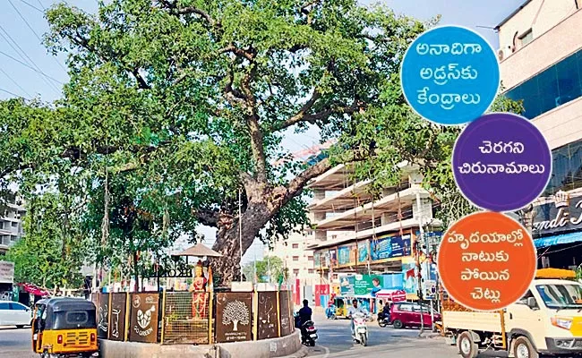 Landmark trees in manikonda