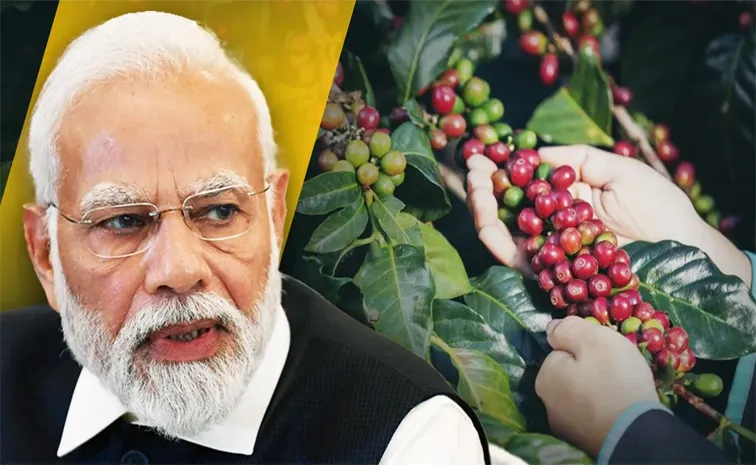 PM Modis Love For Araku Valley Coffee This Tase Is Unique 