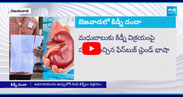 Kidney Racket In Guntur And Vijayawada