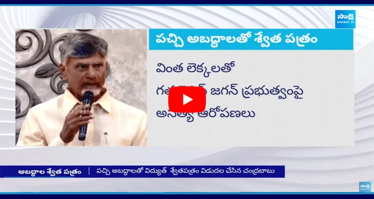 Chandrababu Released Fake White Paper On Power Sector